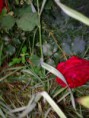 /album/fotogalereya/foto-iz-pamyati-3-669-jpg/